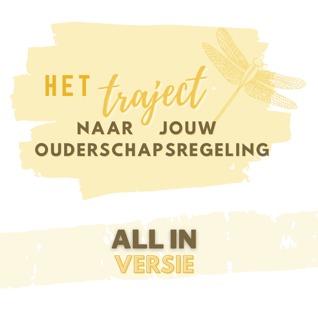 Het Traject naar jouw ouderschapsregeling - ALL-IN TRAJECT