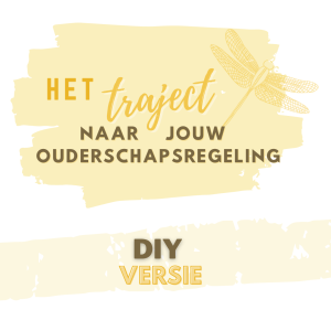 Het Traject naar jouw ouderschapsregeling - DIY TRAJECT