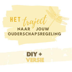 Het Traject naar jouw ouderschapsregeling - DIY + Traject